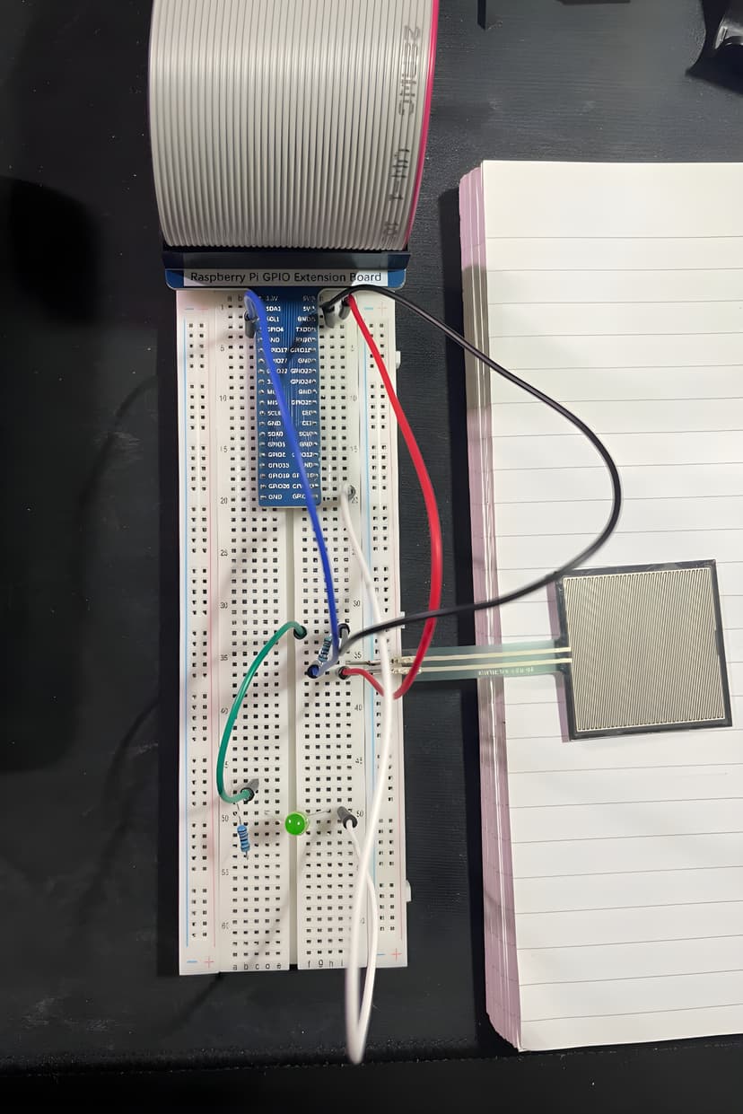 Figure 4: Image of circuit